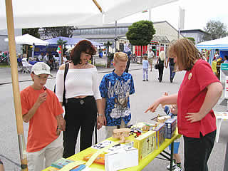 Solar-Interessierte Ainringer