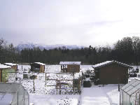 Kleingartenverein Blick nach S&uuml;d